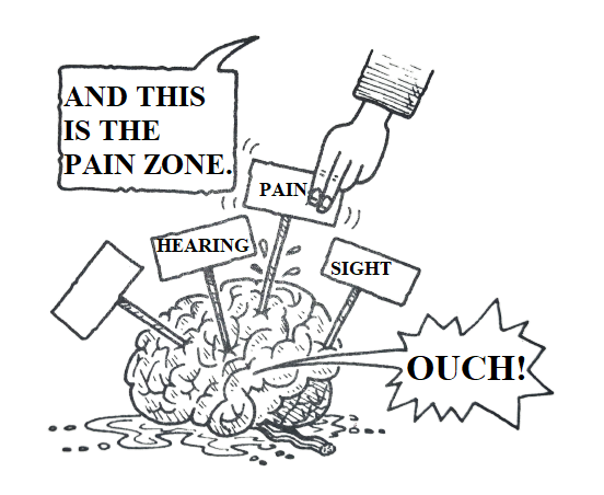 Brain Areas