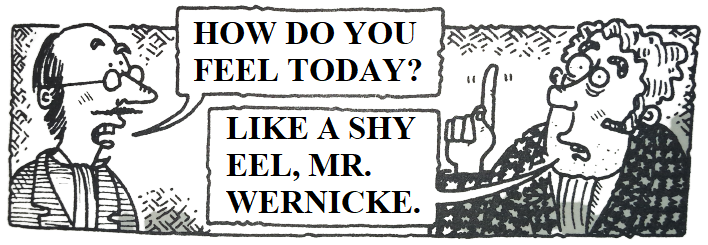 Wernicke